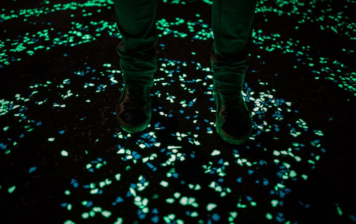 Van Gogh-Roosegaarde Bicycle Path, close up